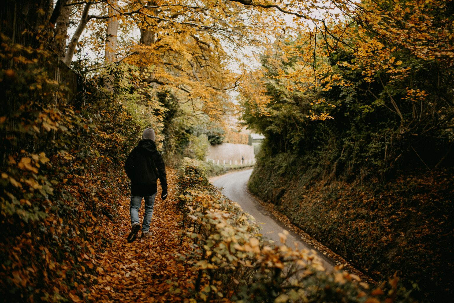 紅葉の道を一人で歩く人の後ろ姿